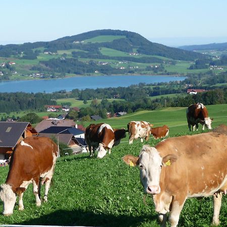 Familienferienhof Stabauer Zell am Moos Esterno foto