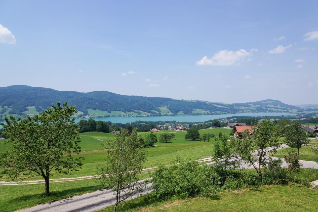 Familienferienhof Stabauer Zell am Moos Esterno foto