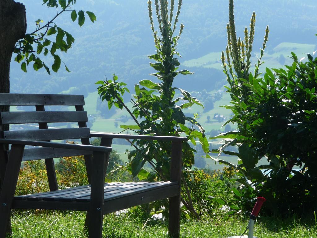 Familienferienhof Stabauer Zell am Moos Esterno foto