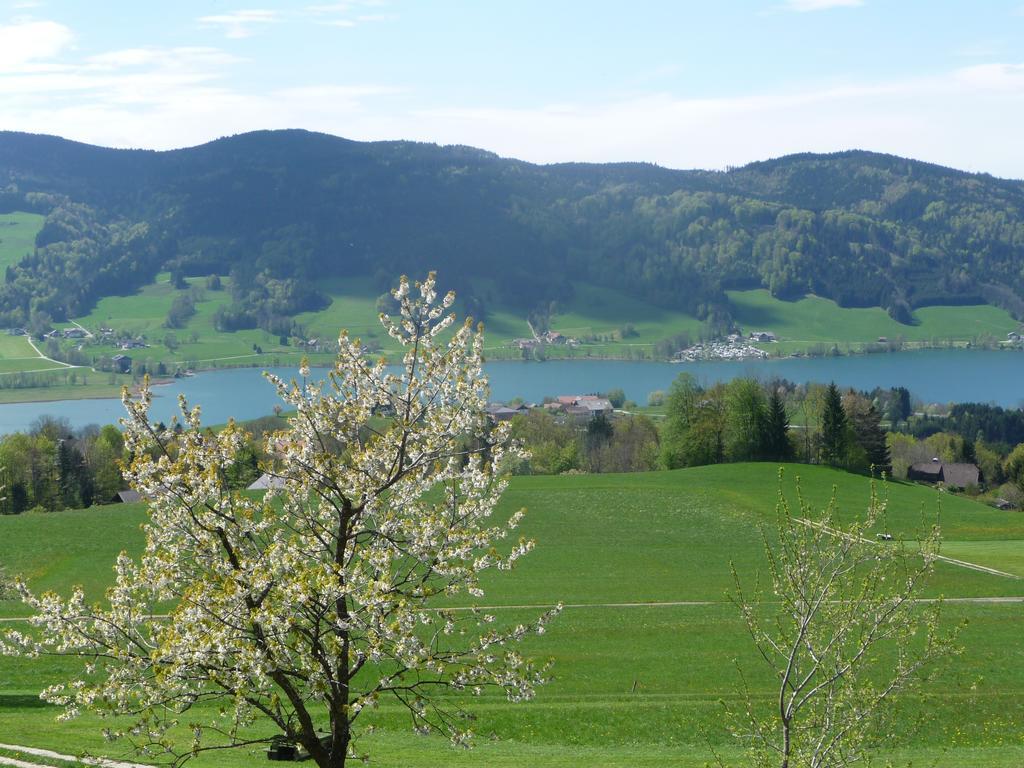 Familienferienhof Stabauer Zell am Moos Esterno foto