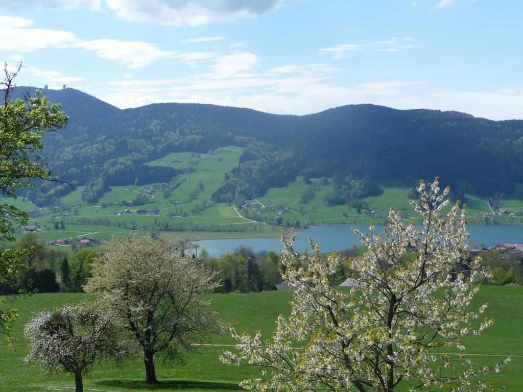 Familienferienhof Stabauer Zell am Moos Esterno foto