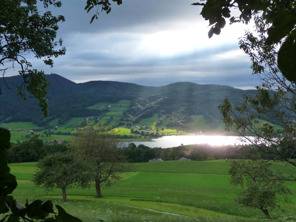 Familienferienhof Stabauer Zell am Moos Esterno foto